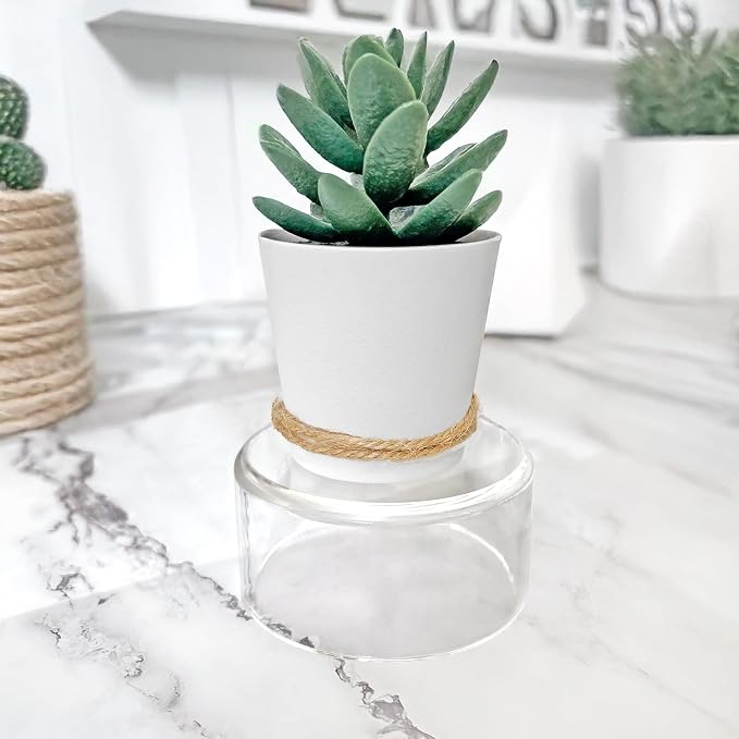 Plymor 1.5" H x 3" D Clear Acrylic Round Cylinder Display Riser | Hollow underneath - Image 3