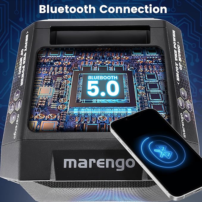 Karaoke Machine with 2 Wireless Microphones, Portable Bluetooth Party Karaoke Speaker with LED Lights, Bass/Treble Adjustment, TWS, 800W(Peak) PA System for Home Party, Supports USB/AUX/REC/Mic-in