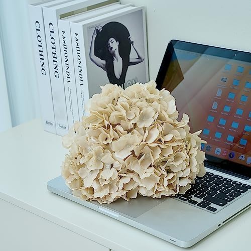 10Pcs Hydrangea Artificial Flowers Beige Heads Fake Silk Flowers Full Silk Flowers with Stems Wedding Home Party Shop Baby Shower Decor - Image 3