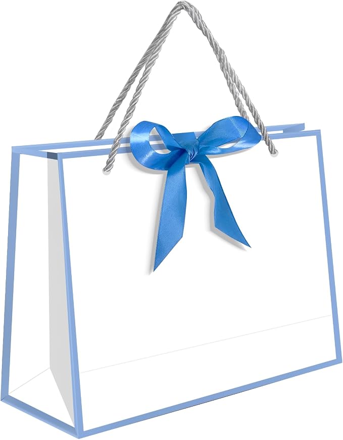 5 | 12 | 25 | 50 Pack Gift Bag with Bow Ribbon Horizontal Paper Gift Bags Bulk for Women Men,with Handles for Birthday Wedding Bridesmaid Party Favor Shopping Retail Gift Sacks (Sky blue, 11x4x8 Inch (Pack of 25)) by QLSKO