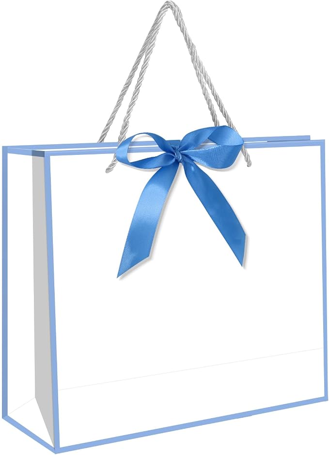 5 | 12 | 25 | 50 Pack Gift Bag with Bow Ribbon Horizontal Paper Gift Bags Bulk for Women Men,with Handles for Birthday Wedding Bridesmaid Party Favor Shopping Retail Gift Sacks (Sky blue, 12.6x4.3x10.5 Inch (Pack of 25)) by QLSKO