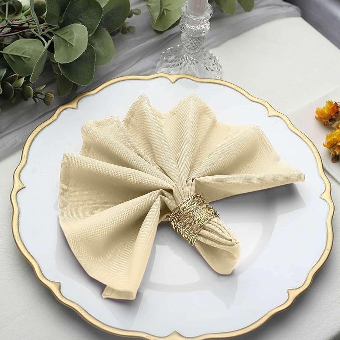 Efavormart Premium Cloth Napkins Set of 10, 17x17 Inch Beige Seamless Dinner Napkins, Washable Linen Table Napkin Cloth with Hemmed Edges for Weddings, Party and Banquet - Image 6