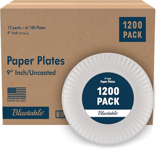 Bluetable 9 Inch Paper Plates Bulk – 1200 Count - Uncoated White 9” Dinner Plate Pizza Plate Decorative Craft Paper Plates Disposable Plates [1200 Pack/Case] by Bluetable