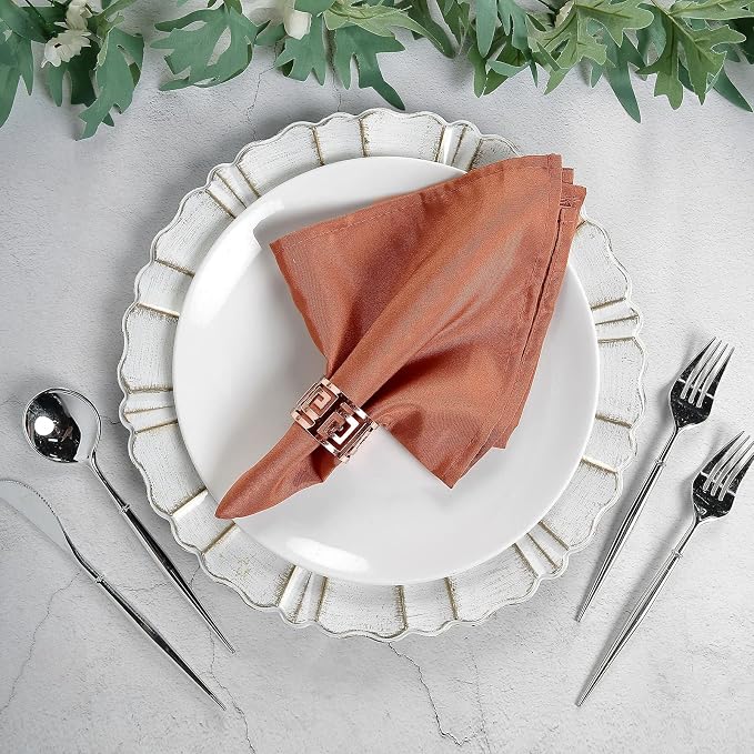 Tableclothsfactory Premium Pack of 5 Terracotta Premium 17" x 17" Washable Polyester Napkins Great for Wedding Party Restaurant Dinner Parties by TABLECLOTHSFACTORY