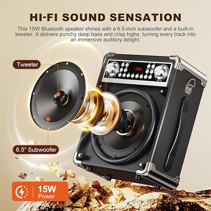 Karaoke Machine with 2 Wireless Microphones, Portable Bluetooth Speaker of Adults & Kids, PA System with Remote & Lights, Bass/Treble Control, Support USB/AUX/TF/FM, Party Speaker for Home